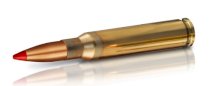 Patronas GECO .223Rem. Express 3,6g