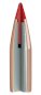 Patronas Hornady .22WMR V-MAX 1,95g