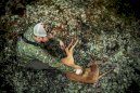 MERKEL GEAR Bushshirt INFINITY FOREST