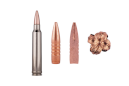 FEDERAL Cartridges .243Win. BARNES TSX 5,5g - lead-free