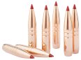 HORNADY Cartridges .30-06 CX 10,7g SPF - Lead-free