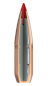 HORNADY Cartridges .308Win. CX 9,7g SPF - lead-free