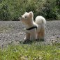 RAPPA Rotaļlieta AKITA INU, 29cm