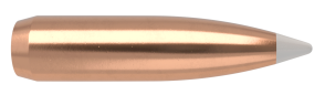NOSLER Bullets 6mm Spitzer AccuBond 5,8g/90gr