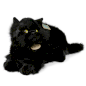 RAPPA Plush toy BLACK CAT, 18cm
