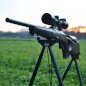 FARM-LAND Shooting stick