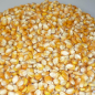 JAMAMITE Corn feed, 5kg