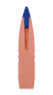 BARNES Catriges .300Win.Mag. 12,3g LRX BT