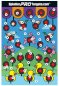 SPLATTER PRO TARGETS Papīra mērķis, 45x30 cm