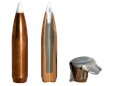 Nosler 7mm AccuBond 9,1g/140gr