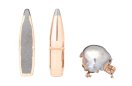 HORNADY Lodes 6mm BTSP IL 6,5g/100gr