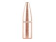 Patronas Hornady 9,3 x 62 SP 18,5g Custom International